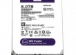 Ổ Cứng HDD Western 8TB WD80PURZ (TÍM) Chuyên dụng camera