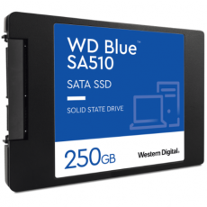 SSD WD S250G3B0A  Blue  sata	