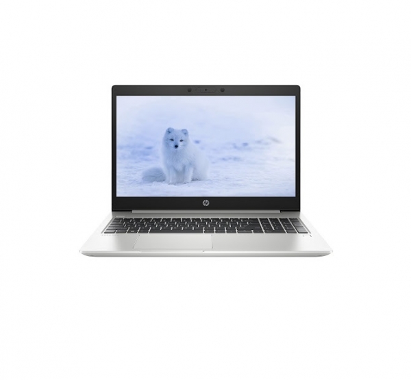 Laptop Hp ProBook 455 G7 1A1B1PA (R7-4700U/8G/512GSSD/15.6