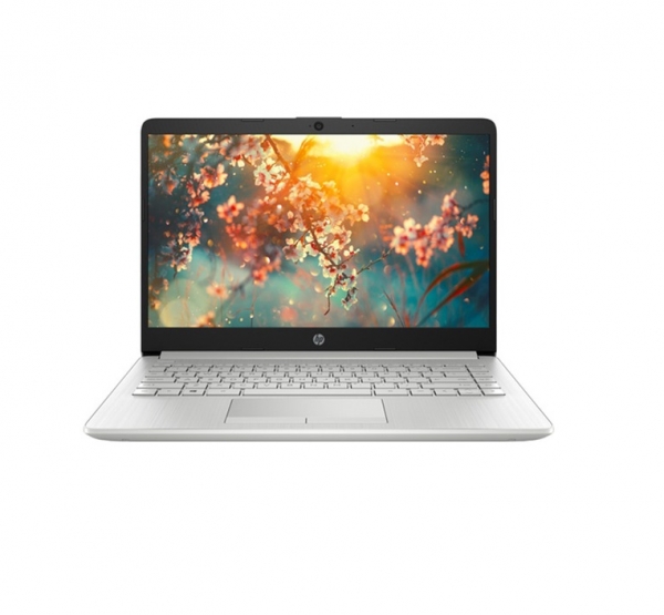 Laptop HP 14s-cf2045TU 1X0J0PA - BẠC ( N5030U/ 4G/ SSD 256GB/ 14